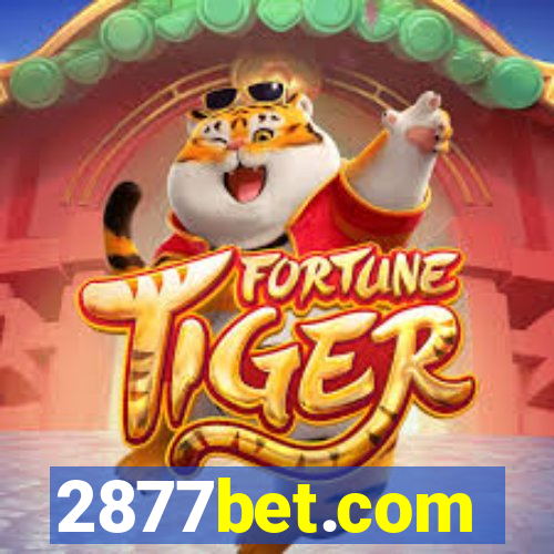 2877bet.com