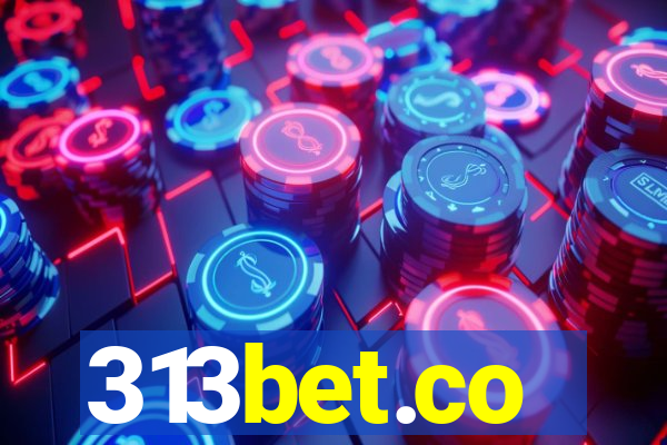 313bet.co