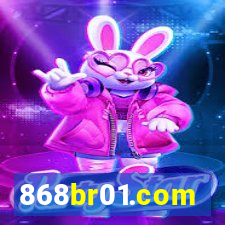 868br01.com