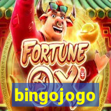 bingojogo