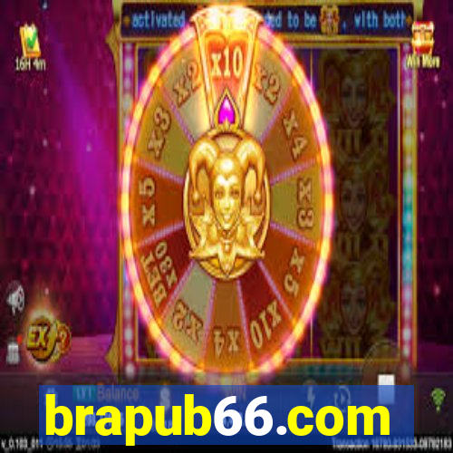 brapub66.com