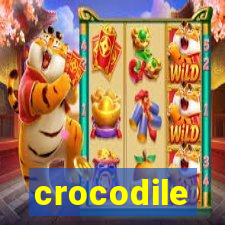 crocodile-pg.com