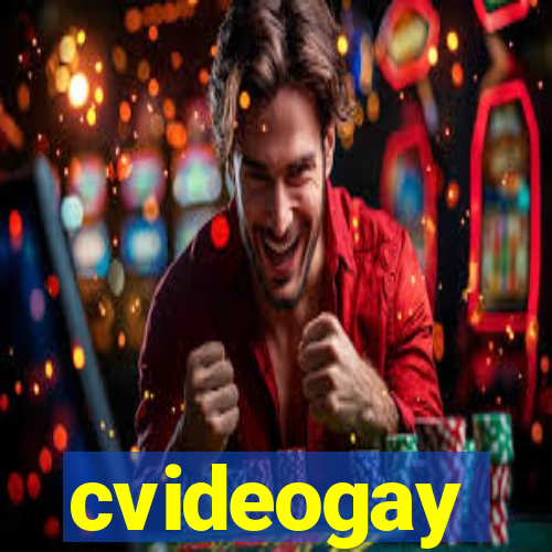 cvideogay