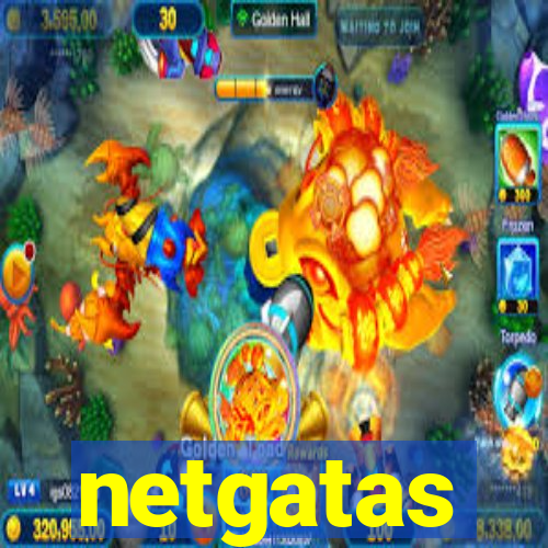 netgatas