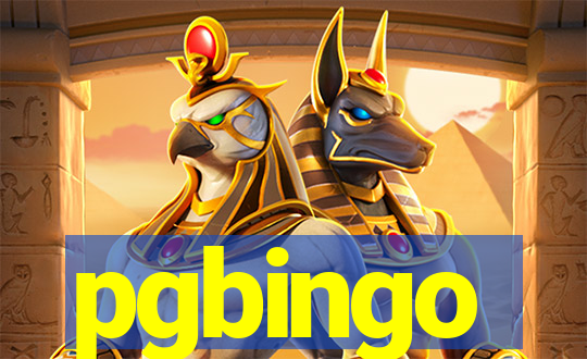 pgbingo