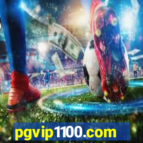 pgvip1100.com