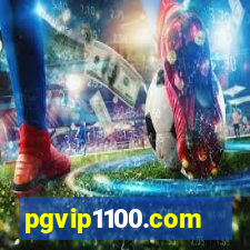 pgvip1100.com