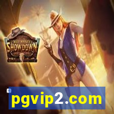 pgvip2.com