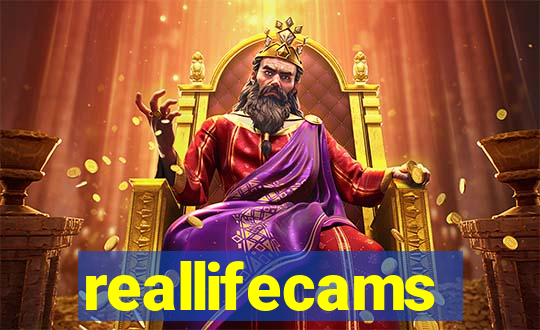 reallifecams