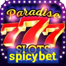 spicybet-2.com