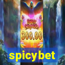 spicybet-3.com