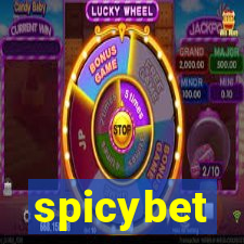 spicybet-4.com