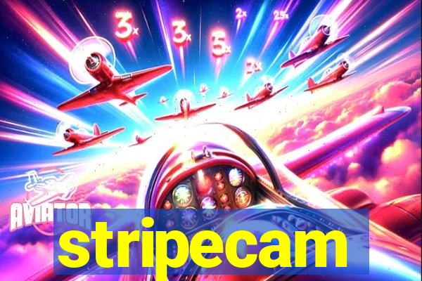 stripecam