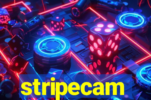 stripecam