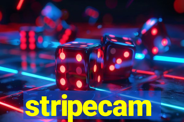 stripecam