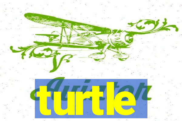 turtle-ty.com