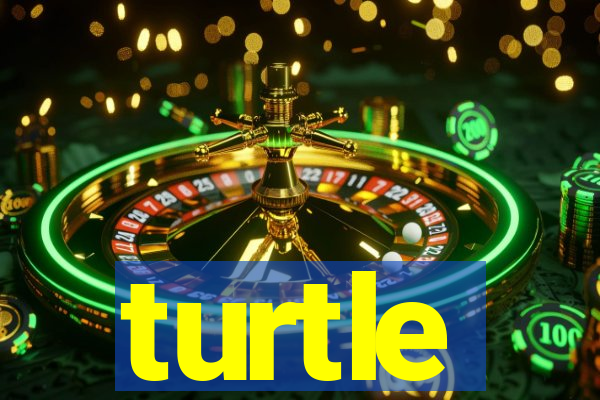 turtle-ty.com