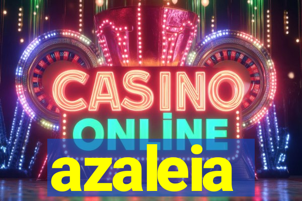 azaleia-br.com